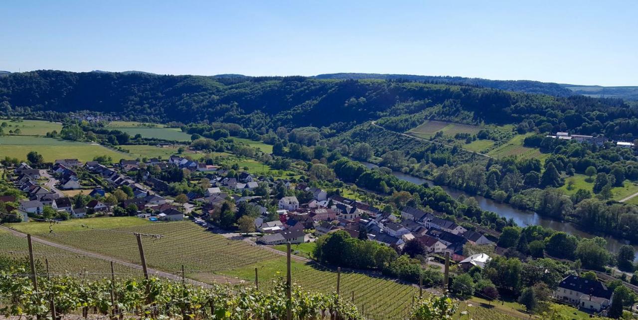 Zur Alten Rebe Ferienhaus Und Weingut Konz Exterior foto