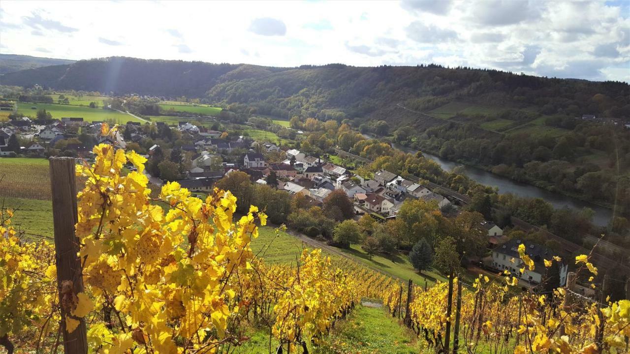 Zur Alten Rebe Ferienhaus Und Weingut Konz Exterior foto