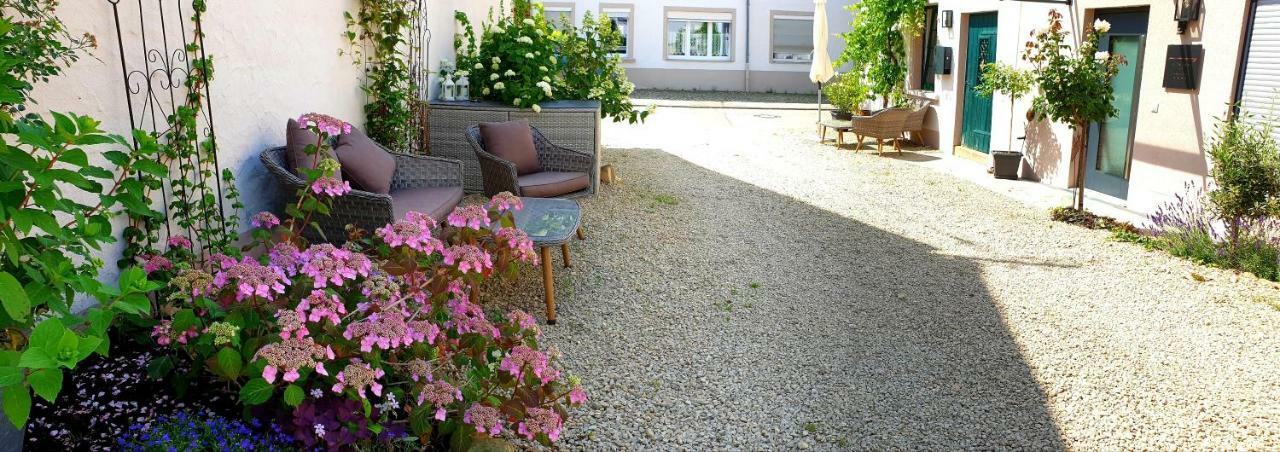 Zur Alten Rebe Ferienhaus Und Weingut Konz Exterior foto