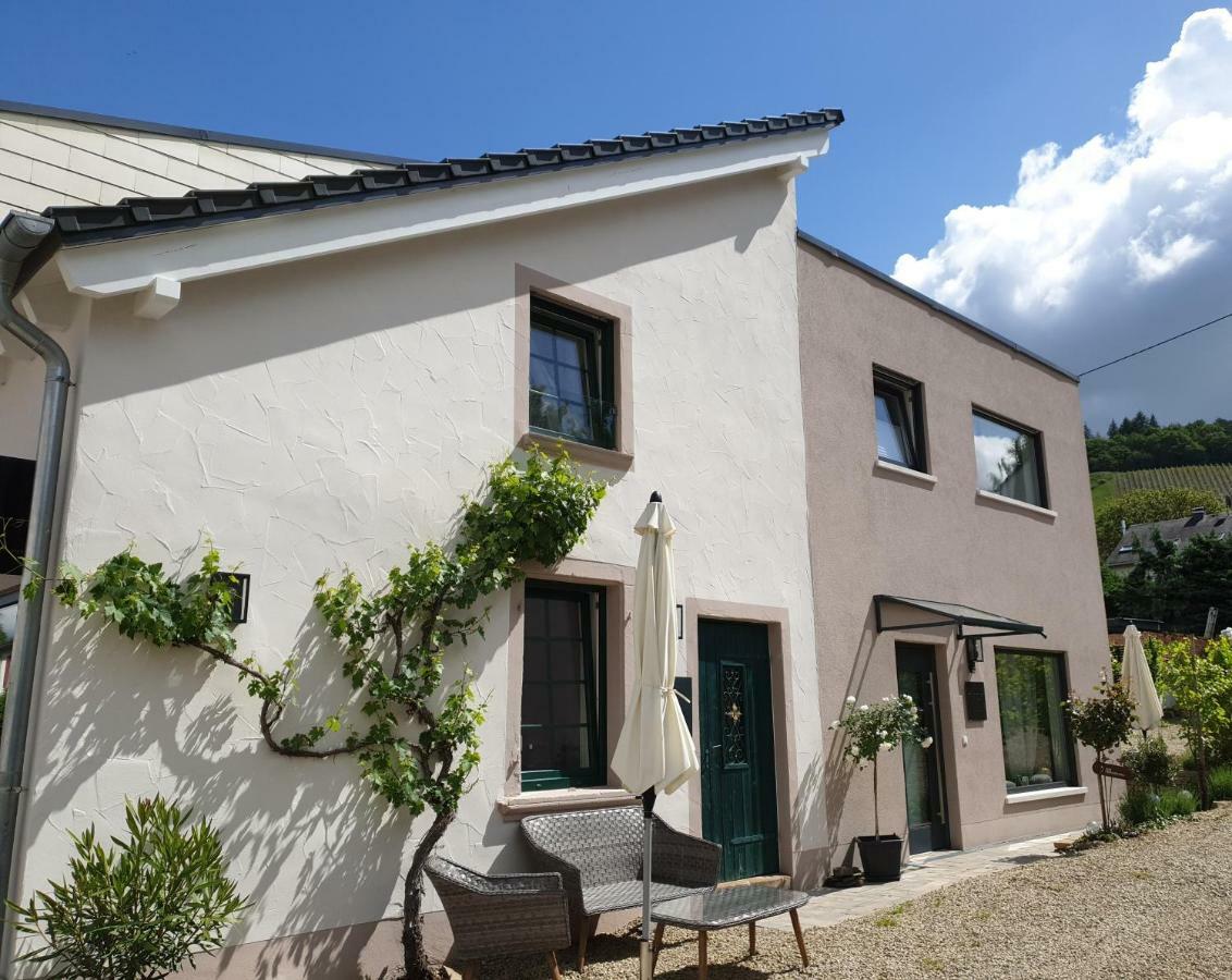 Zur Alten Rebe Ferienhaus Und Weingut Konz Exterior foto