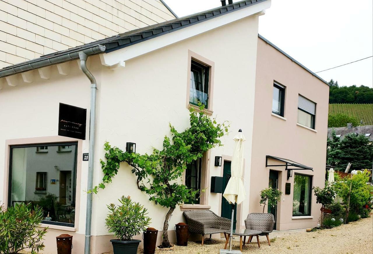 Zur Alten Rebe Ferienhaus Und Weingut Konz Exterior foto